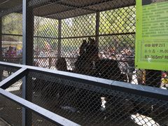 -长白岛森林公园