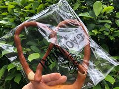 -GAONNURI加温努力(马场店)