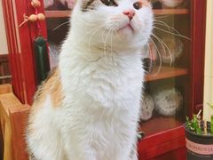 -天一朴素(武汉大学店)