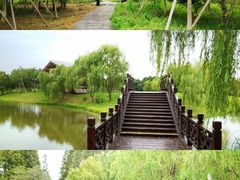 -南湖湿地公园