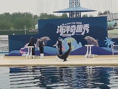 -秦皇岛乐岛海洋王国