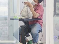 -爱洗澡的猫(望京店)