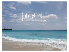 -金盆阿嬷香菇茶叶蛋(玄光店)