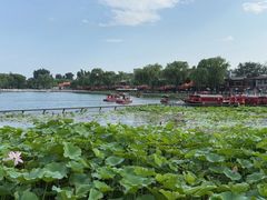 -小王府(什刹海店)