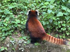 -昆明动物园