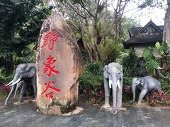 -野象谷景区