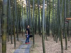 -陶祖圣境风景区