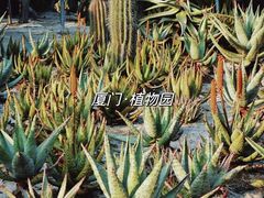 -手佳·水疗汇(嘉益店)
