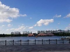 -上海长兴岛郊野公园