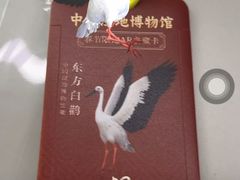 -中国湿地博物馆