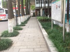 -武汉外国语学校