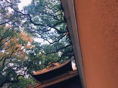 -普陀山风景名胜区-法雨禅寺