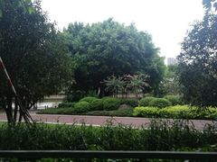 -光明港公园