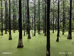-艾溪湖湿地公园