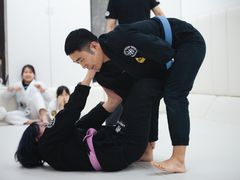 -菠萝格斗巴西柔术训练馆