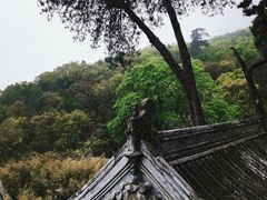 -潭柘寺景区