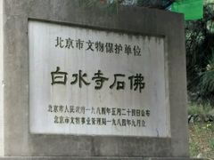 -白水寺森林公园
