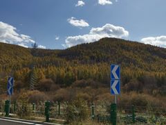 -塞罕坝国家级自然保护区