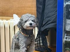 -三鞭一花·独一处·元英砂锅(海光寺店)