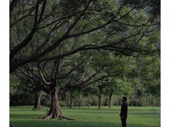 -南沙蒲洲花园