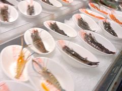 -高佳庄·舟山海鲜(海景旗舰店)