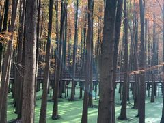 -绍兴启迪乔波冰雪世界