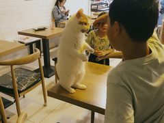大堂-平行世界·猫咖(首经贸店)