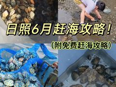 -日照灯塔风景区