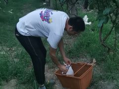 -马陆小张葡萄园农家乐