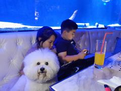 -爱宠屋pet shop·宠物洗澡·宠物美容