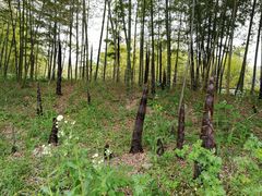 -南通洲际绿博园