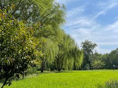 -北坞公园