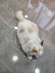 -元一肌肤管理中心