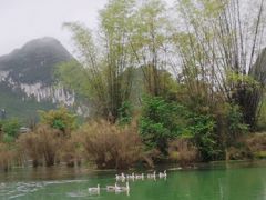 -靖西鹅泉风景区
