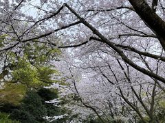 -中国茶叶博物馆(双峰馆区)