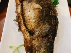 -鸿毛饺子(紫竹桥店)
