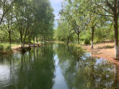 -永定河休闲森林公园