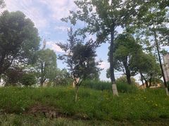 -重庆彩云湖湿地公园