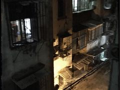 -厦门鸿山寺