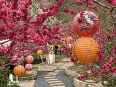-桃源山庄·水蜜桃采摘·柴火鸡·烧烤团建(龙泉山店)