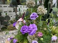 -自由生长植物工作室(深港花卉中心店)