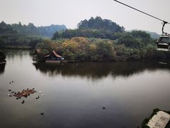 -广州长隆国际大马戏