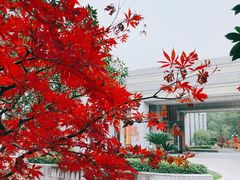 -西郊宾馆·1921餐厅