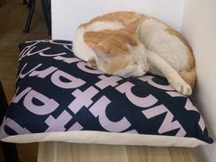 -WATER CAFE(广厦店)