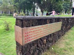 -王借岗森林公园