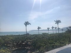 -糟粕醋·椰苑海南菜餐厅(亚龙湾天域酒店)