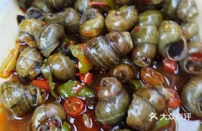 Braised Snails in Sauce