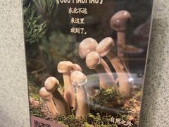 -锅飘飘·东北铁锅炖(雨花客厅店)