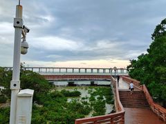 -宝安西湾红树林湿地公园