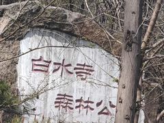 -白水寺森林公园